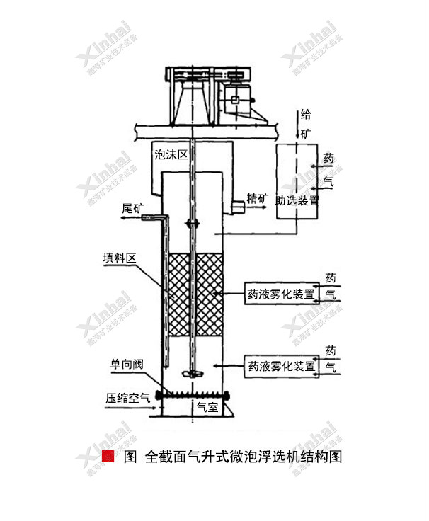 全截面气升式微泡浮选机结构原理图